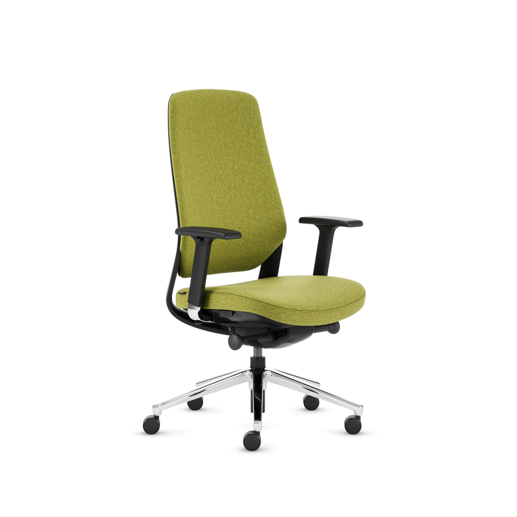 Teamo® Plush - Ergonomischer Bürostuhl, Vollpolster, Schwarz/Grün